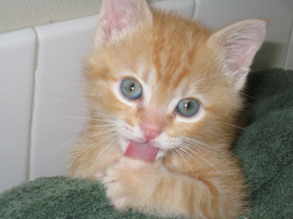 I'm The Cutest, Right?