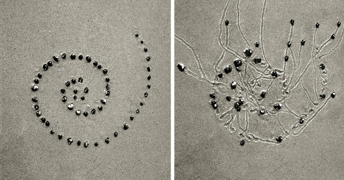 I Collaborated With Snails To Create These Sand Drawings