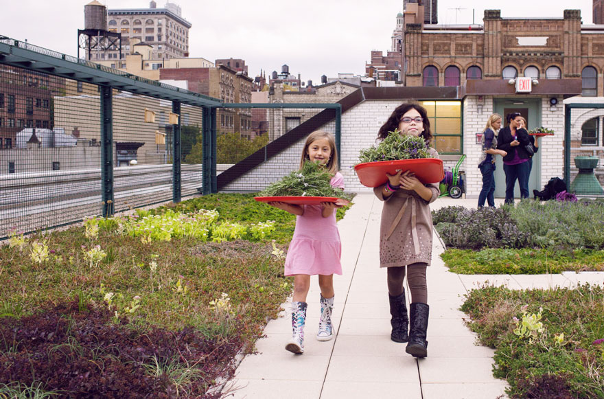 solar-panel-roof-green-schools-nyc-2 solar-panel-roof-green-schools-nyc-2
