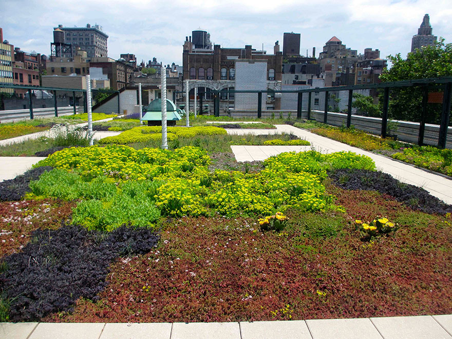 solar-panel-roof-green-schools-nyc-6 solar-panel-roof-green-schools-nyc-6