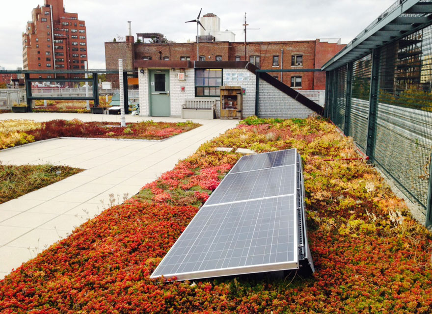 solar-panel-roof-green-schools-nyc-7 solar-panel-roof-green-schools-nyc-7