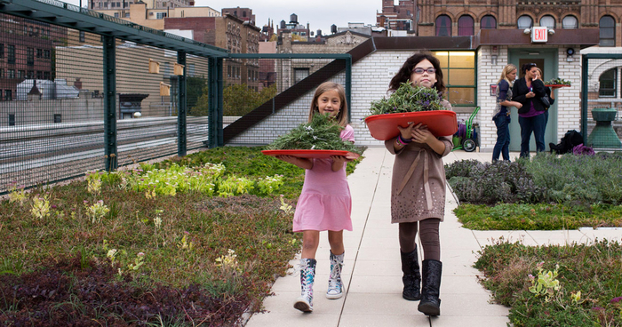 Solar Roofs With Gardens Might Become Part Of NYC School Curriculum