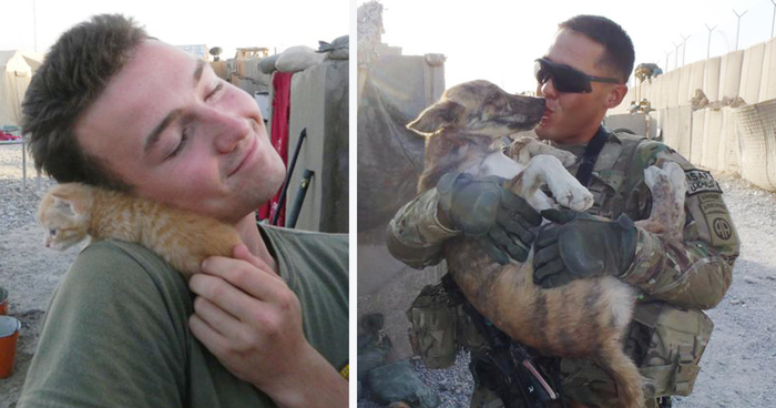 57 Soldiers And Pets Who Became Best Friends Overseas