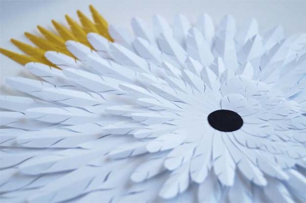 My Paper Art Inspired By Australian Birds My Paper Art Inspired By Australian Birds