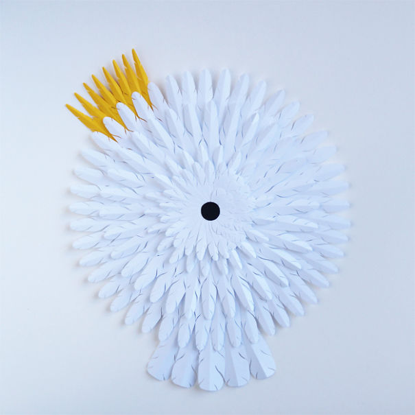My Paper Art Inspired By Australian Birds