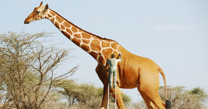 Playful Photo Manipulations By Indian Artist Anil Saxema