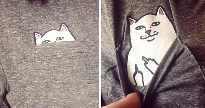 Pocket Cat T-Shirts With A Hidden Surprise