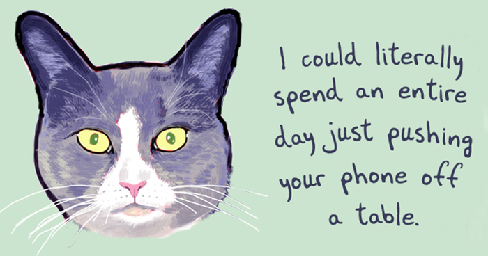 51 Funny Cat And Dog Confessions Reveal What They Actually Think