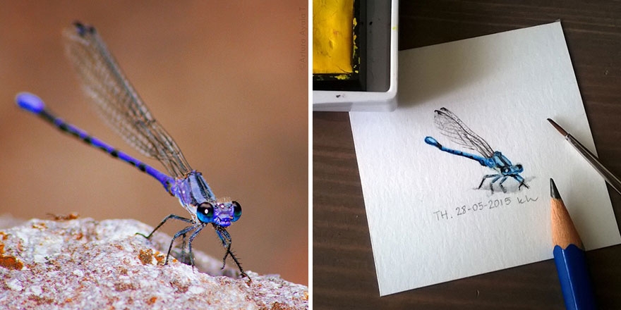 tiny-spring-illustrations-kasia-haldas-15 tiny-spring-illustrations-kasia-haldas-15