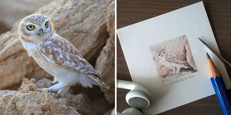 tiny-spring-illustrations-kasia-haldas-18 tiny-spring-illustrations-kasia-haldas-18