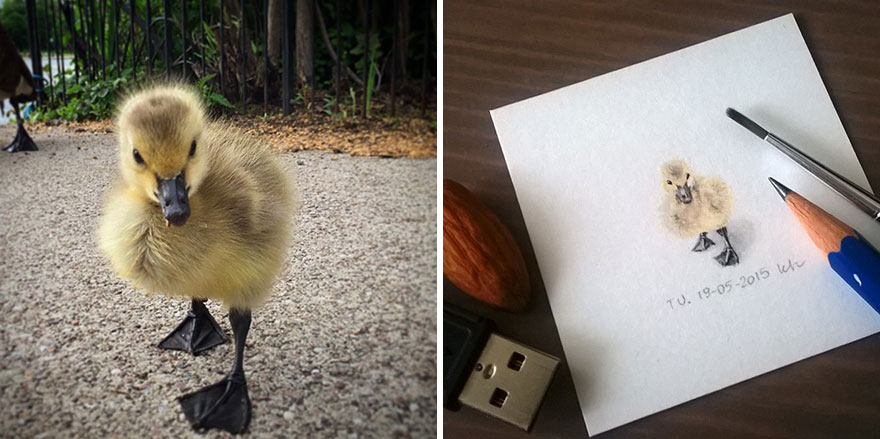 tiny-spring-illustrations-kasia-haldas-21 tiny-spring-illustrations-kasia-haldas-21