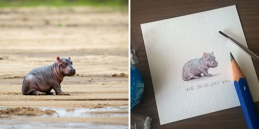 tiny-spring-illustrations-kasia-haldas-8 tiny-spring-illustrations-kasia-haldas-8