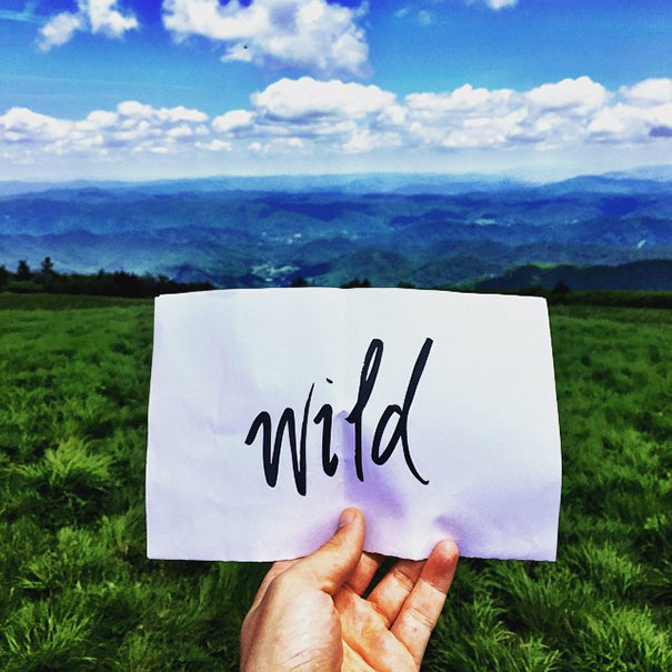 State Border Of Tenessee & North Carolina