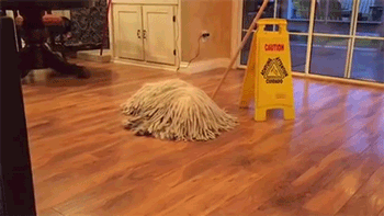 11 Reasons Why Dogs Are Awesome Maids