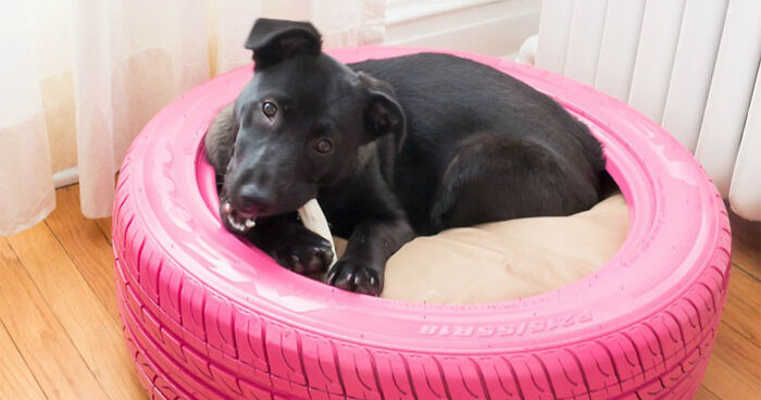 43 Brilliant Ways To Reuse And Recycle Old Tires