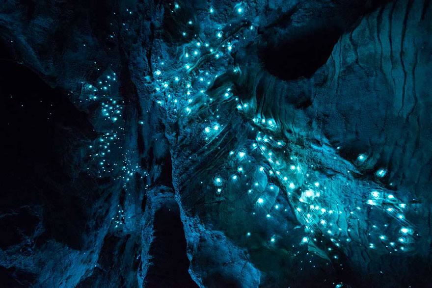 Long Exposure Photos Of Glowworms Turn New Zealand Cave Into Starry Night