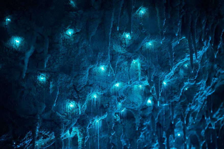 Long Exposure Photos Of Glowworms Turn New Zealand Cave Into Starry Night Long Exposure Photos Of Glowworms Turn New Zealand Cave Into Starry Night