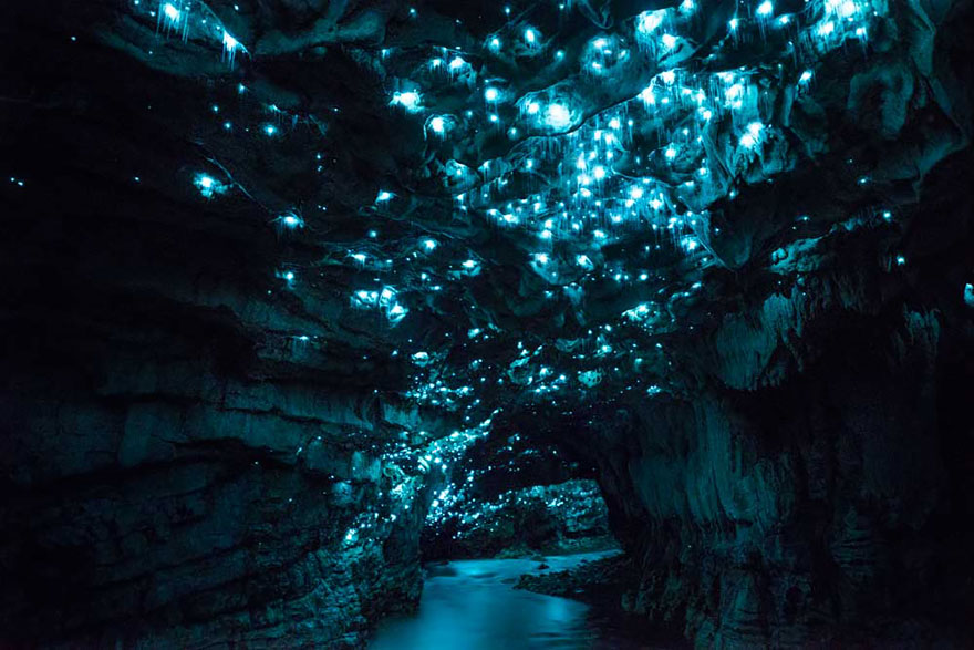 Long Exposure Photos Of Glowworms Turn New Zealand Cave Into Starry Night Long Exposure Photos Of Glowworms Turn New Zealand Cave Into Starry Night