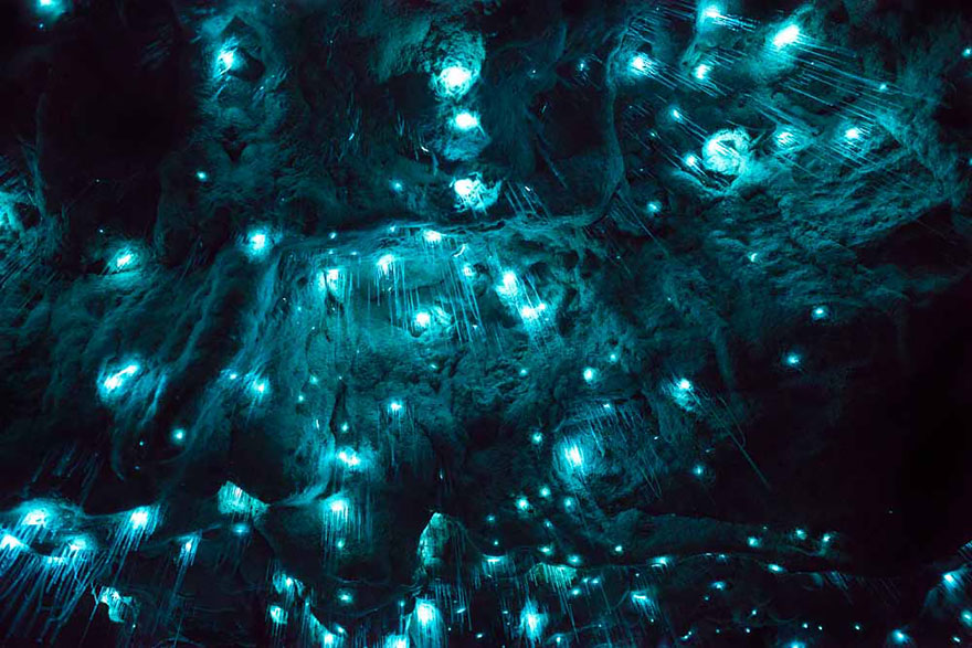 Long Exposure Photos Of Glowworms Turn New Zealand Cave Into Starry Night Long Exposure Photos Of Glowworms Turn New Zealand Cave Into Starry Night