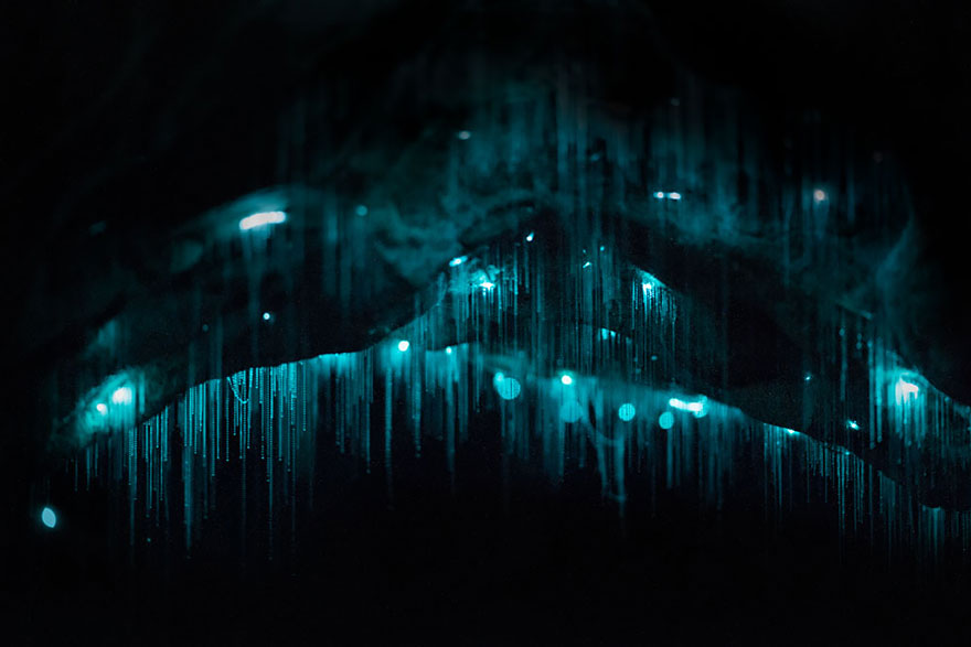 Long Exposure Photos Of Glowworms Turn New Zealand Cave Into Starry Night Long Exposure Photos Of Glowworms Turn New Zealand Cave Into Starry Night