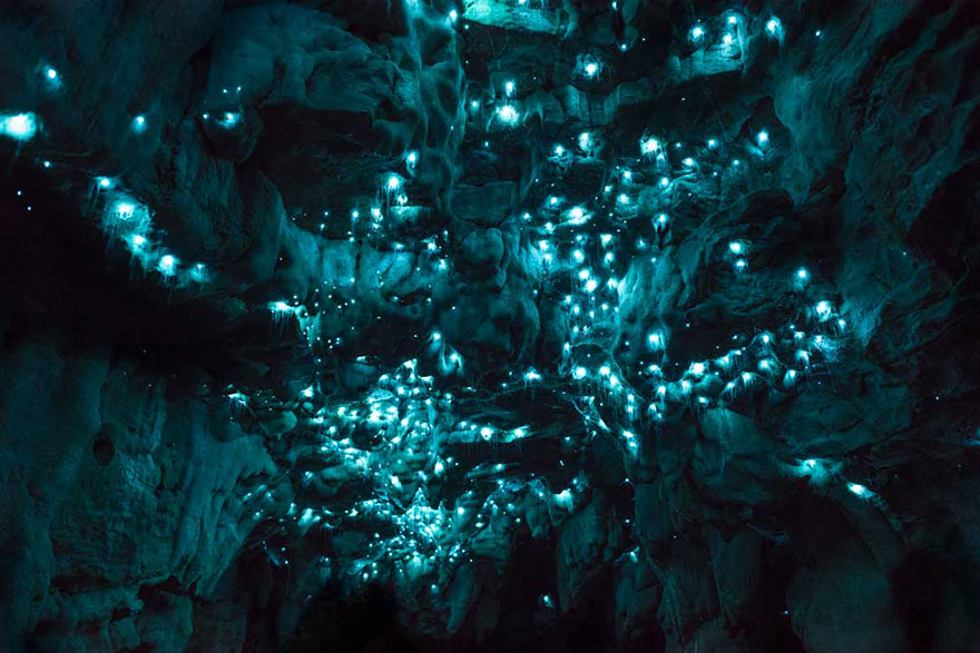 Long Exposure Photos Of Glowworms Turn New Zealand Cave Into Starry Night Long Exposure Photos Of Glowworms Turn New Zealand Cave Into Starry Night