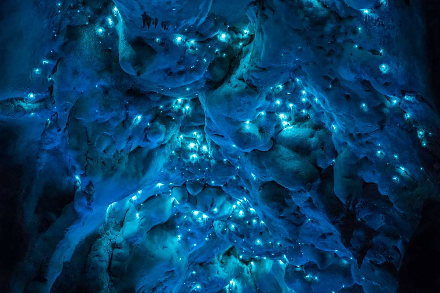 Long Exposure Photos Of Glowworms Turn New Zealand Cave Into Starry Night