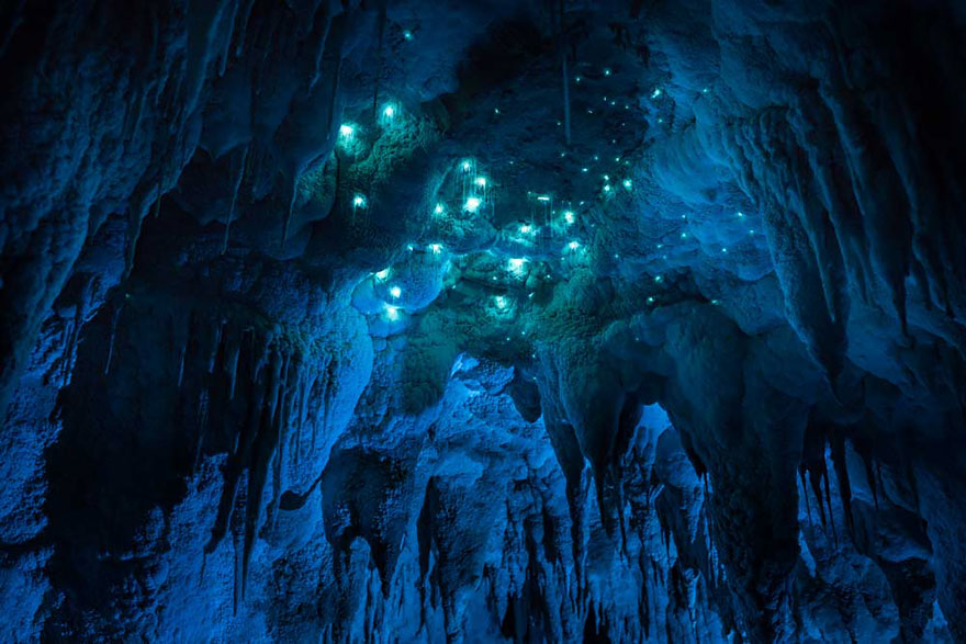 Long Exposure Photos Of Glowworms Turn New Zealand Cave Into Starry Night