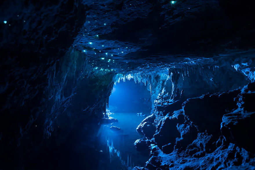 Long Exposure Photos Of Glowworms Turn New Zealand Cave Into Starry Night Long Exposure Photos Of Glowworms Turn New Zealand Cave Into Starry Night
