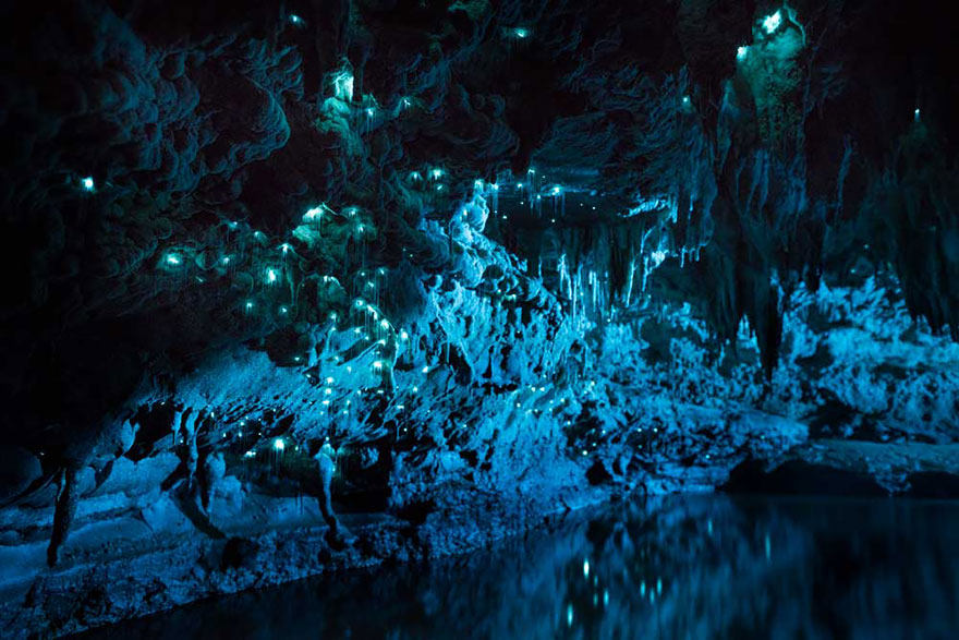 Long Exposure Photos Of Glowworms Turn New Zealand Cave Into Starry Night Long Exposure Photos Of Glowworms Turn New Zealand Cave Into Starry Night