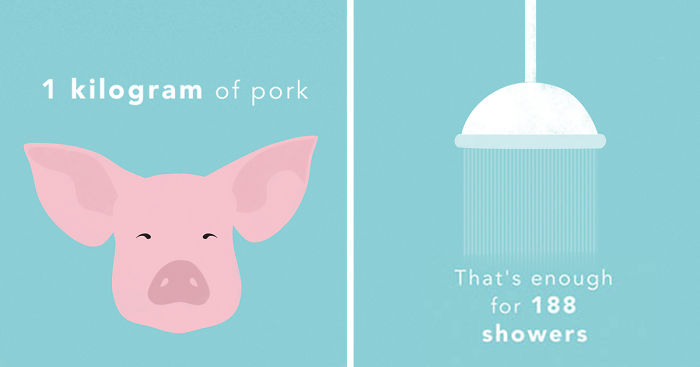 How Much Water Do You Eat?