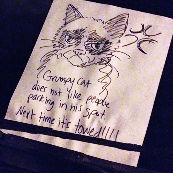 Grumpy Cat Does Not Like People Parking In His Spot