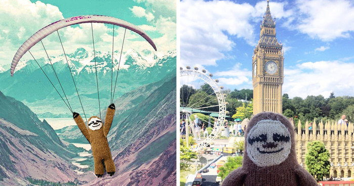 Meet Super Sloth: The Worlds Most Famous Woolen Adventurer