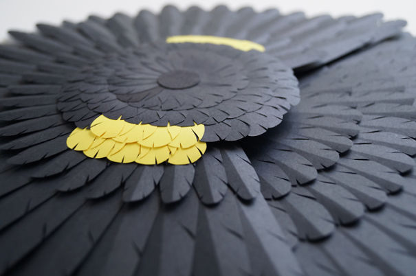 My Paper Art Inspired By Australian Birds My Paper Art Inspired By Australian Birds