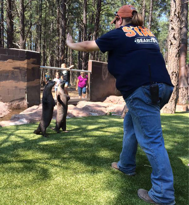 Hilarious Zookeepers Recreate Jurassic World Scene With Non-dinosaurs