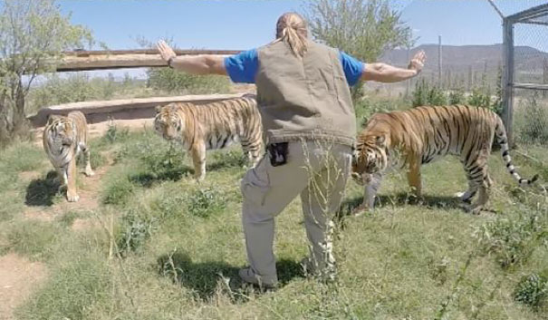 Hilarious Zookeepers Recreate Jurassic World Scene With Non-dinosaurs