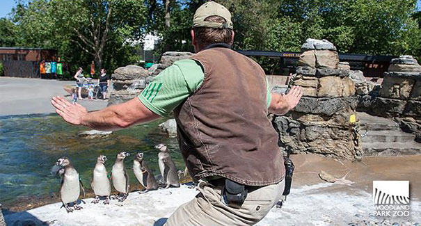 Hilarious Zookeepers Recreate Jurassic World Scene With Non-dinosaurs