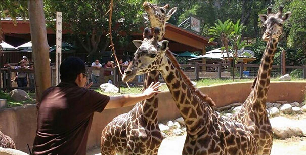 Hilarious Zookeepers Recreate Jurassic World Scene With Non-dinosaurs