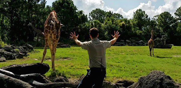 Hilarious Zookeepers Recreate Jurassic World Scene With Non-dinosaurs