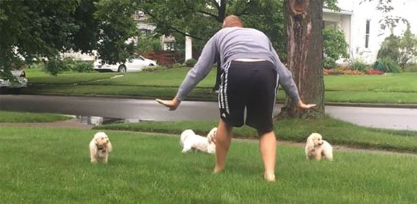 Hilarious Zookeepers Recreate Jurassic World Scene With Non-dinosaurs