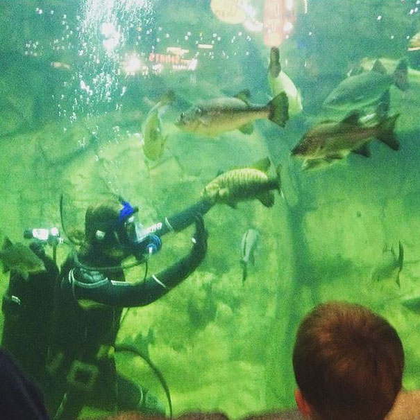 Hilarious Zookeepers Recreate Jurassic World Scene With Non-dinosaurs