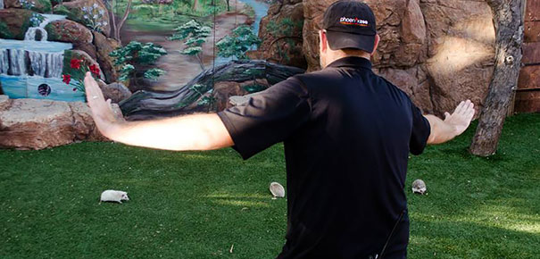 Hilarious Zookeepers Recreate Jurassic World Scene With Non-dinosaurs