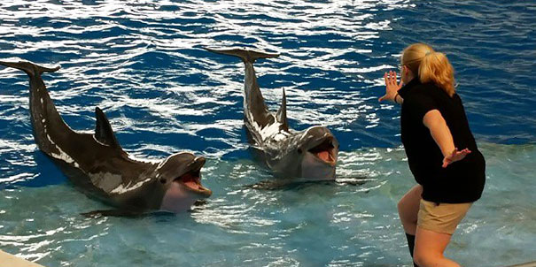 Hilarious Zookeepers Recreate Jurassic World Scene With Non-dinosaurs