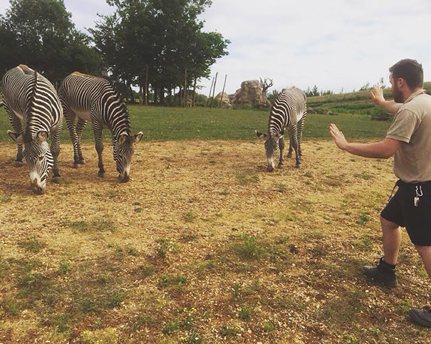 Hilarious Zookeepers Recreate Jurassic World Scene With Non-dinosaurs