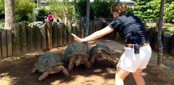 Hilarious Zookeepers Recreate Jurassic World Scene With Non-dinosaurs