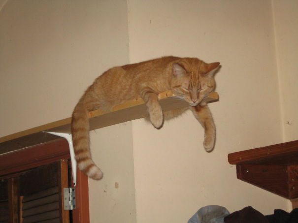 Manning Catching Some Zzzz's...