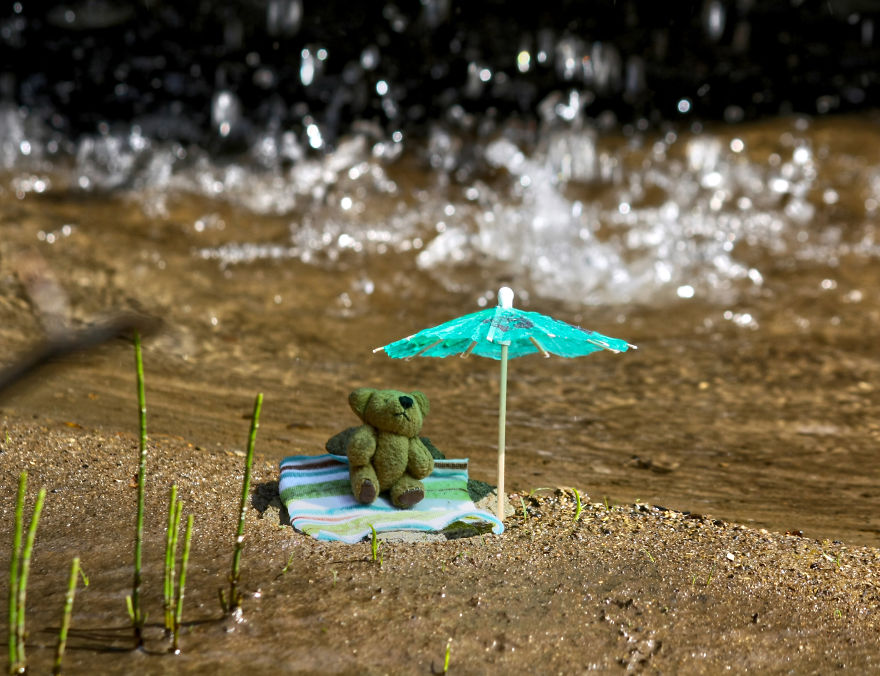 Turbo Bear Explores His Little World