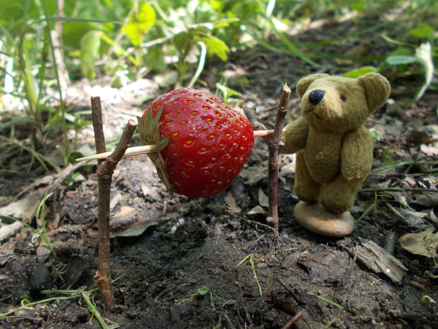 Turbo Bear Explores His Little World
