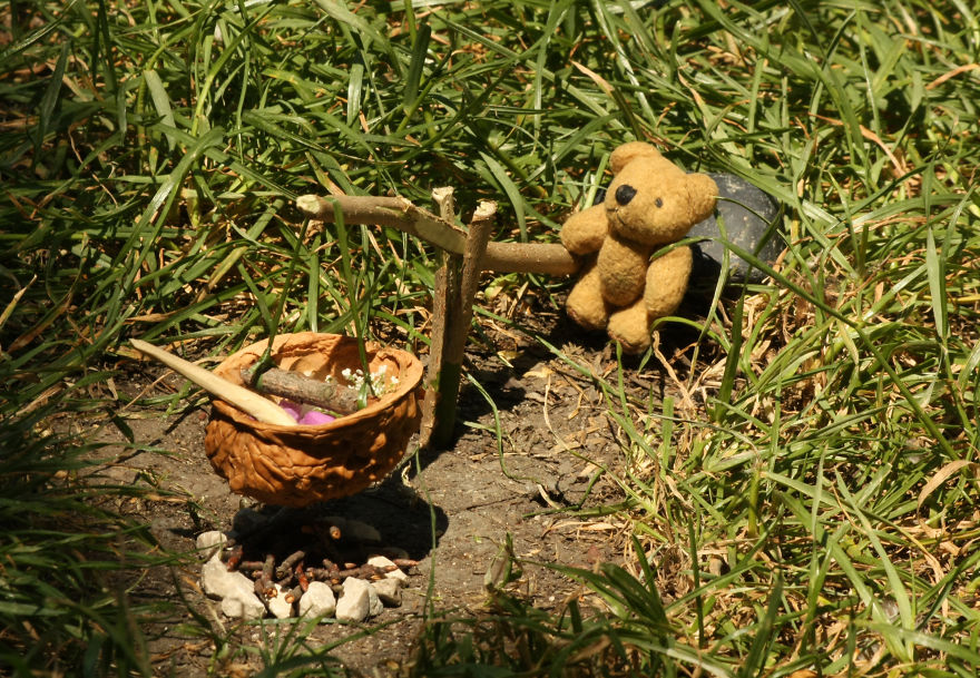 Turbo Bear Explores His Little World