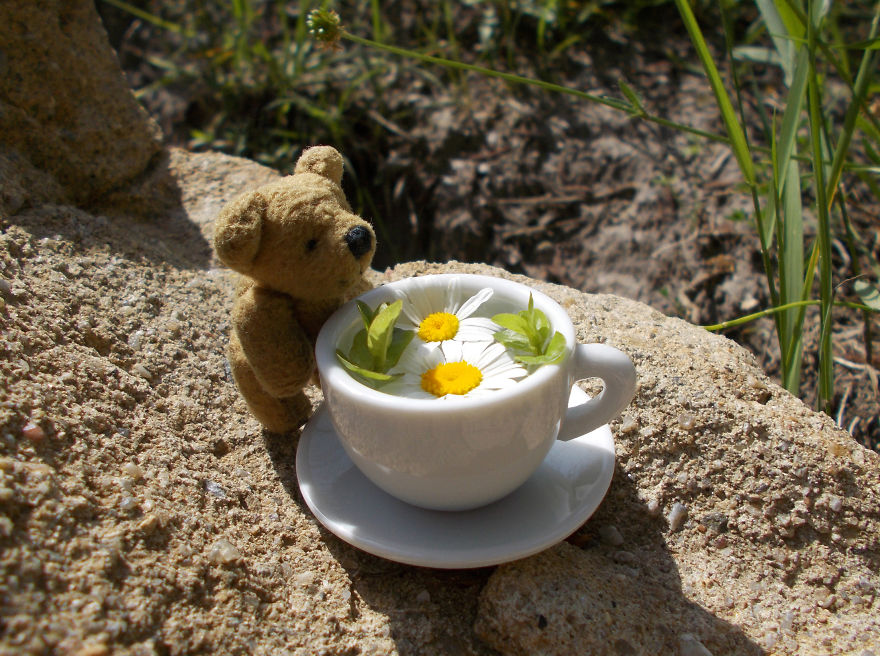 Turbo Bear Explores His Little World