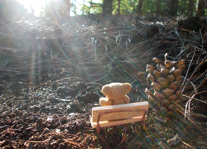 Turbo Bear Explores His Little World